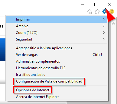 Opciones de Configuración de Explorer 11 para trabajar con ASISGES.COM
