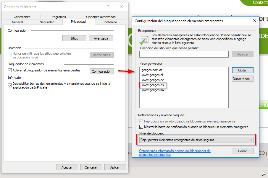 Permitir Elementos emergentes para el dominio correspondiente de GERIGES